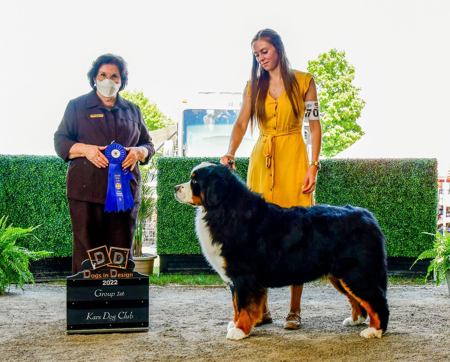 Bouvier Bernois récompensé Groupe 1 avec ruban bleu lors d'une exposition au Kars Dog Club