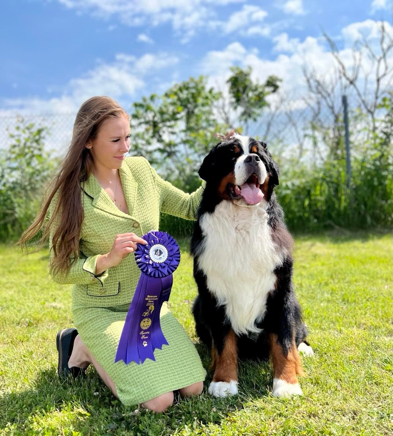 Manieuse agenouillée dans l'herbe avec une rosette violette à côté d'un Bouvier Bernois adulte de l'élevage Dudswelriver